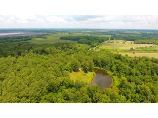 TRACT 40 - ILLINOIS LAND AUCTION - 4,810+/- ACRES OFFERED IN 85 TRACTS IN FRANKLIN, WILLIAMSON, HAMILTON & SALINE COUNTIES, ILLINOIS